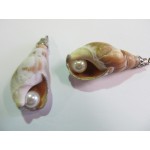Pendant Shell